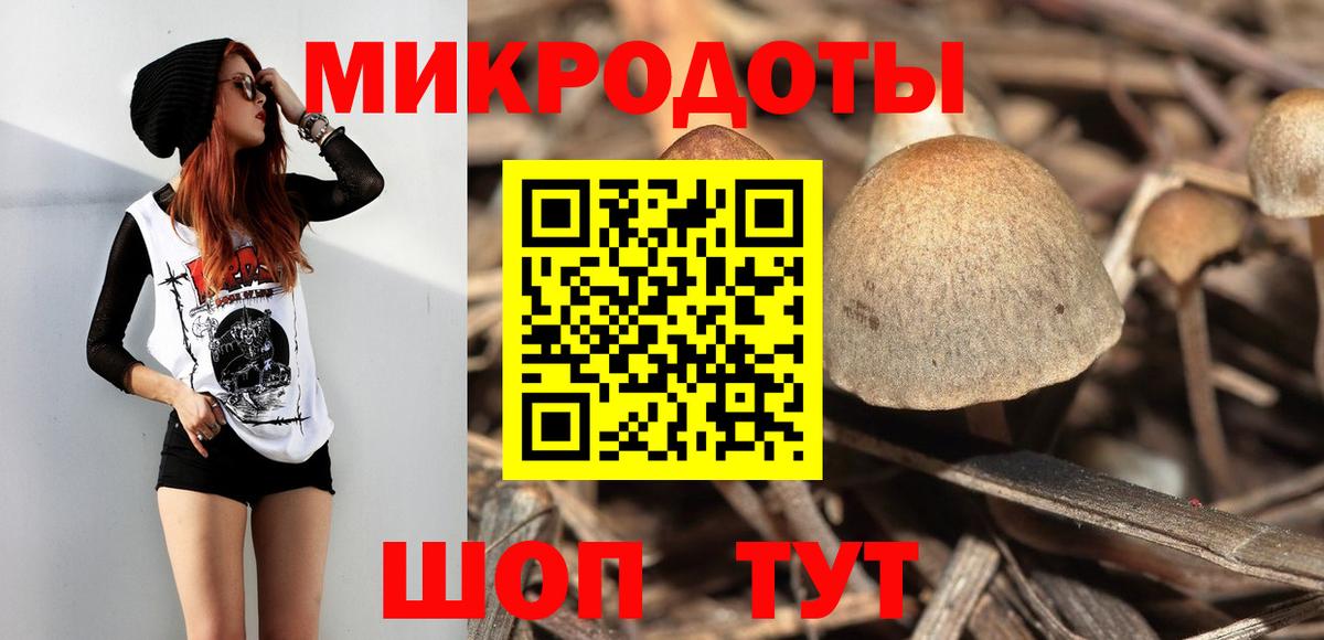 Псилоцибиновые грибы мицелий  Псилоцибиновые грибы прущие грибы  Находка  Вход с VPN 